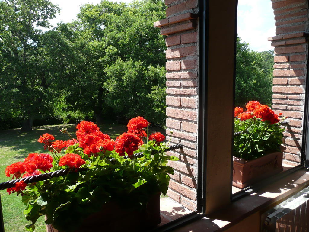 Agriturismo Colli Di Travale Montieri Bilik gambar