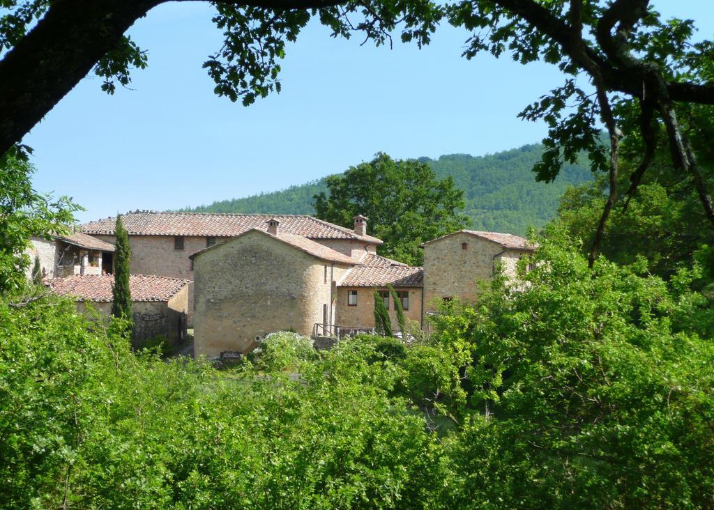 Agriturismo Colli Di Travale Montieri Bilik gambar